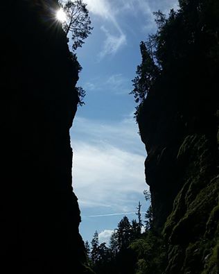 14333124_1214284545269890_685497117837595326_n-3