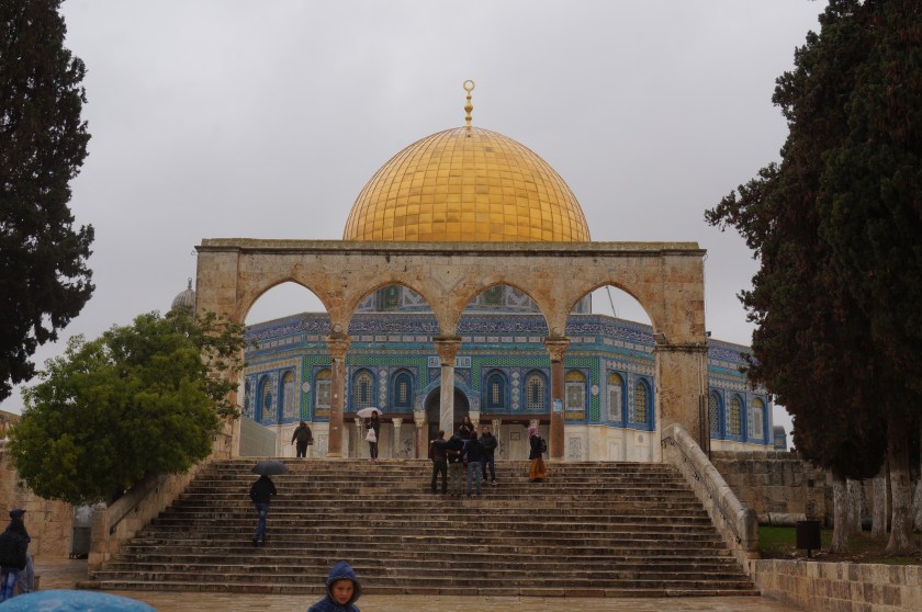 27629666002_8c54d8587c_o