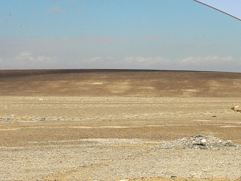 20170103_110929_31404789813_o