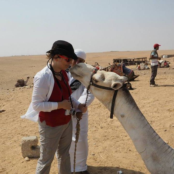 12036977_1003698412995172_5872765127837280082_n