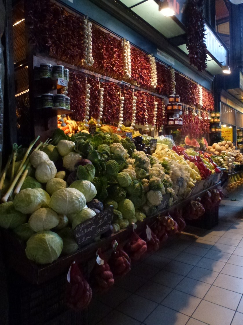 p1040006_32704696906_o