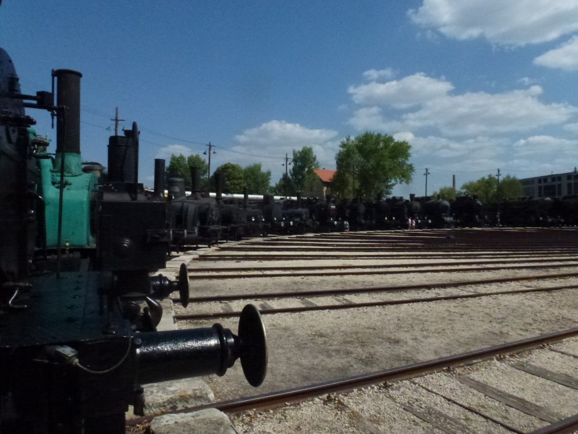 p1040036_32621818631_o