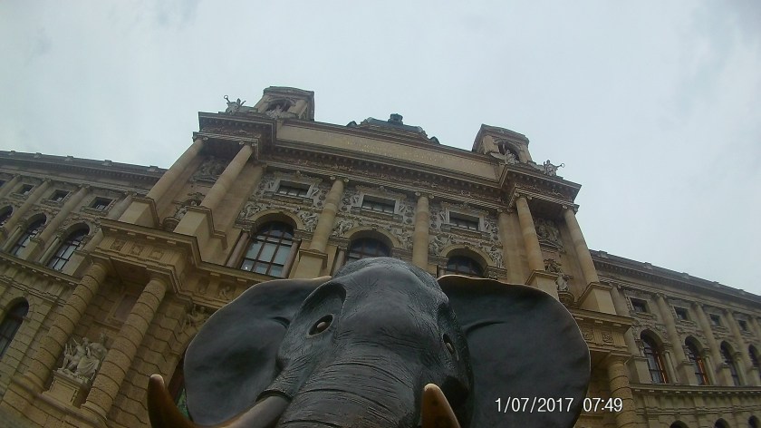 NHM Elefant