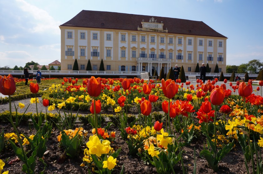 Schloss und Tulpen.jpg