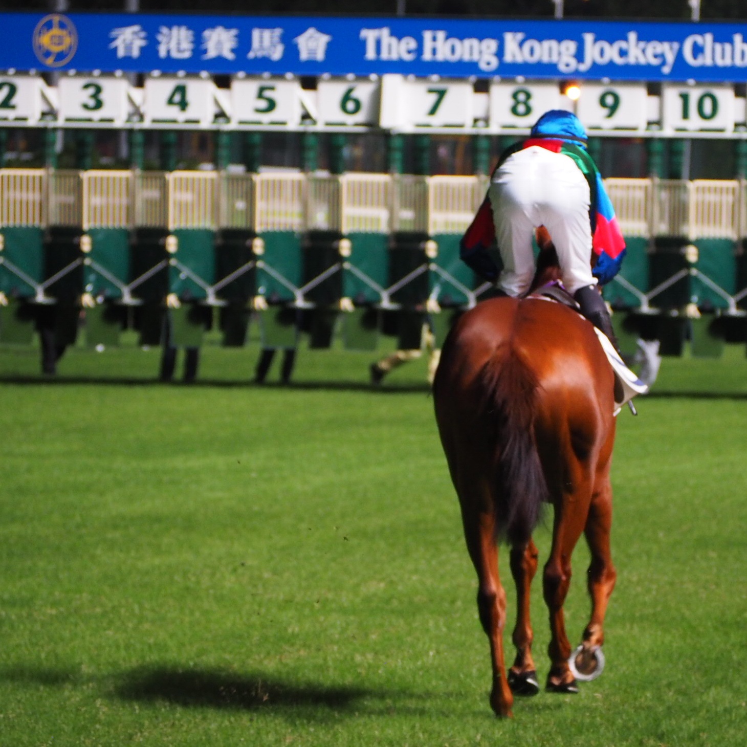 Ascot im Hongkong Style