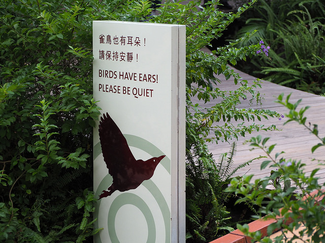 Hongkong Wetland Park: Vögelbeobachtungen in der Großstadt