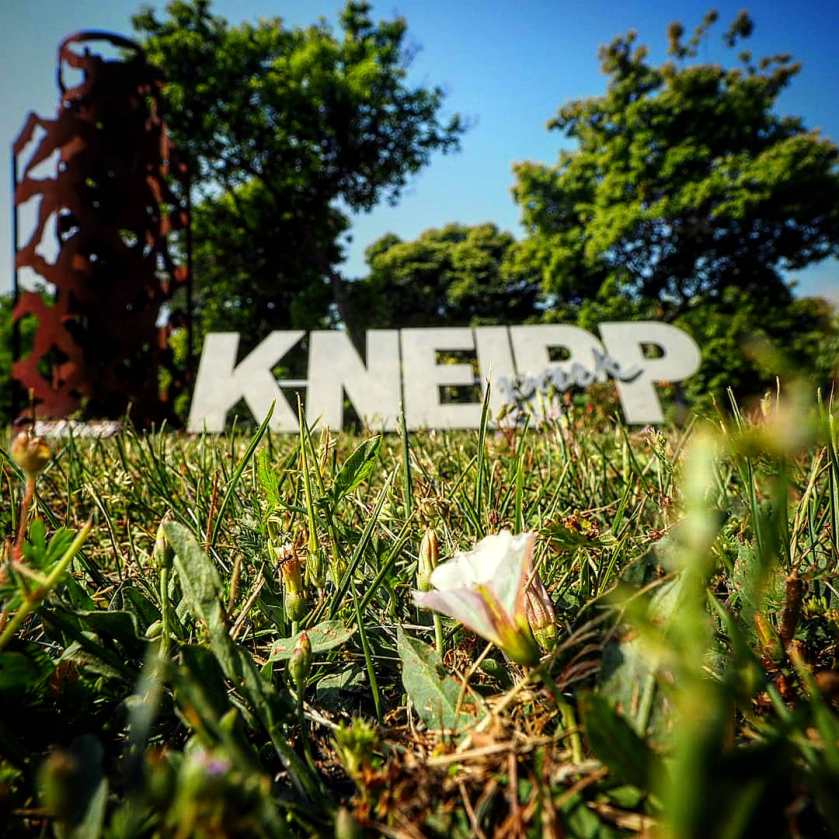 img_20180514_184229_807_42064958912_o