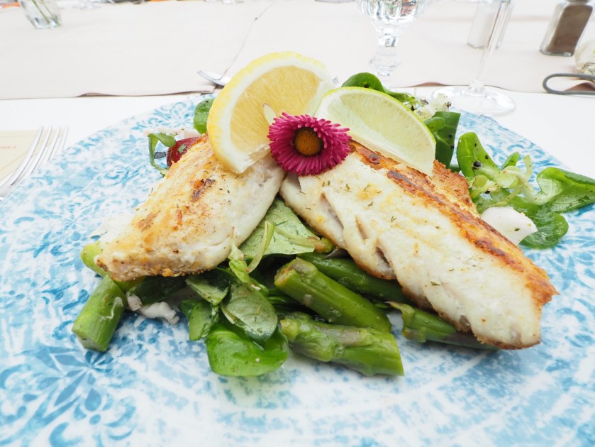 40560750680_624324bb23_k