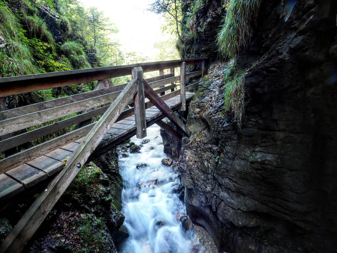Amazing Places – Der ultimative Holzweg im Mendlingtal (Niederösterreich)