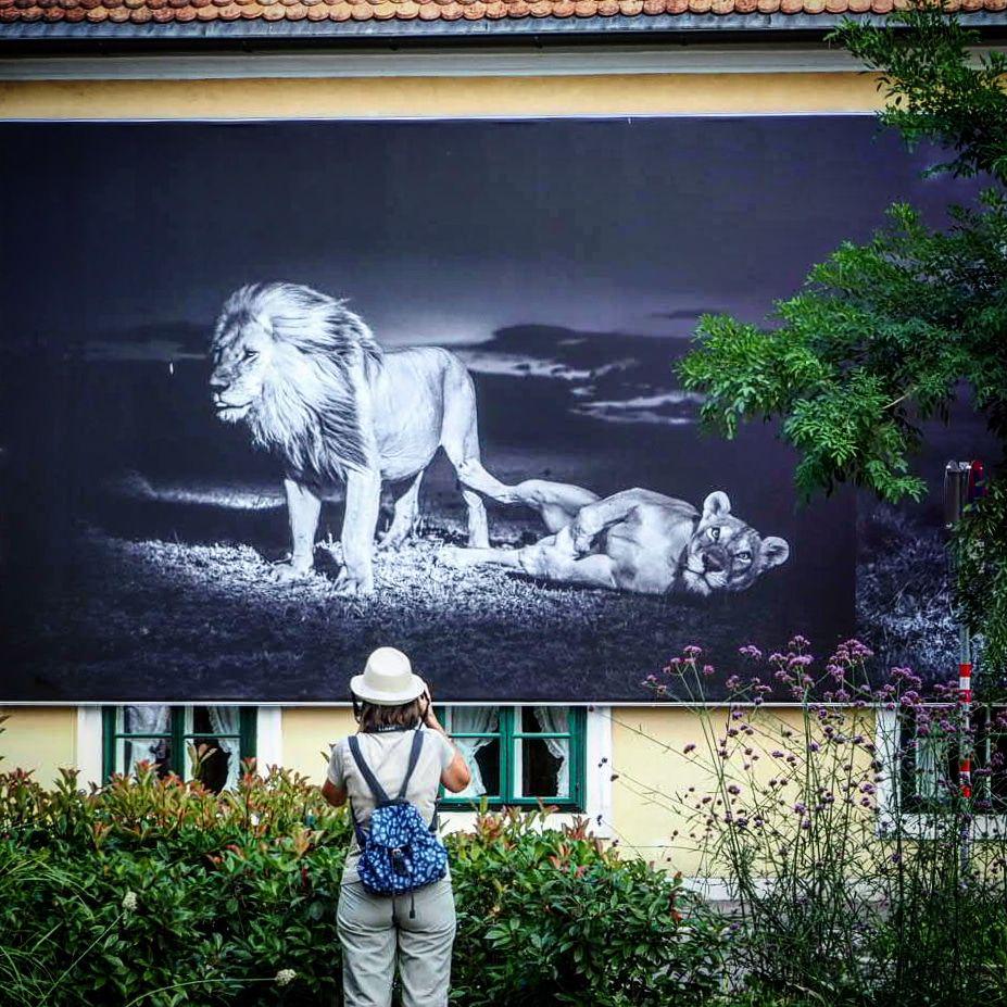 La Gacilly Fotofestival in Baden – Die Fotografen sind los…