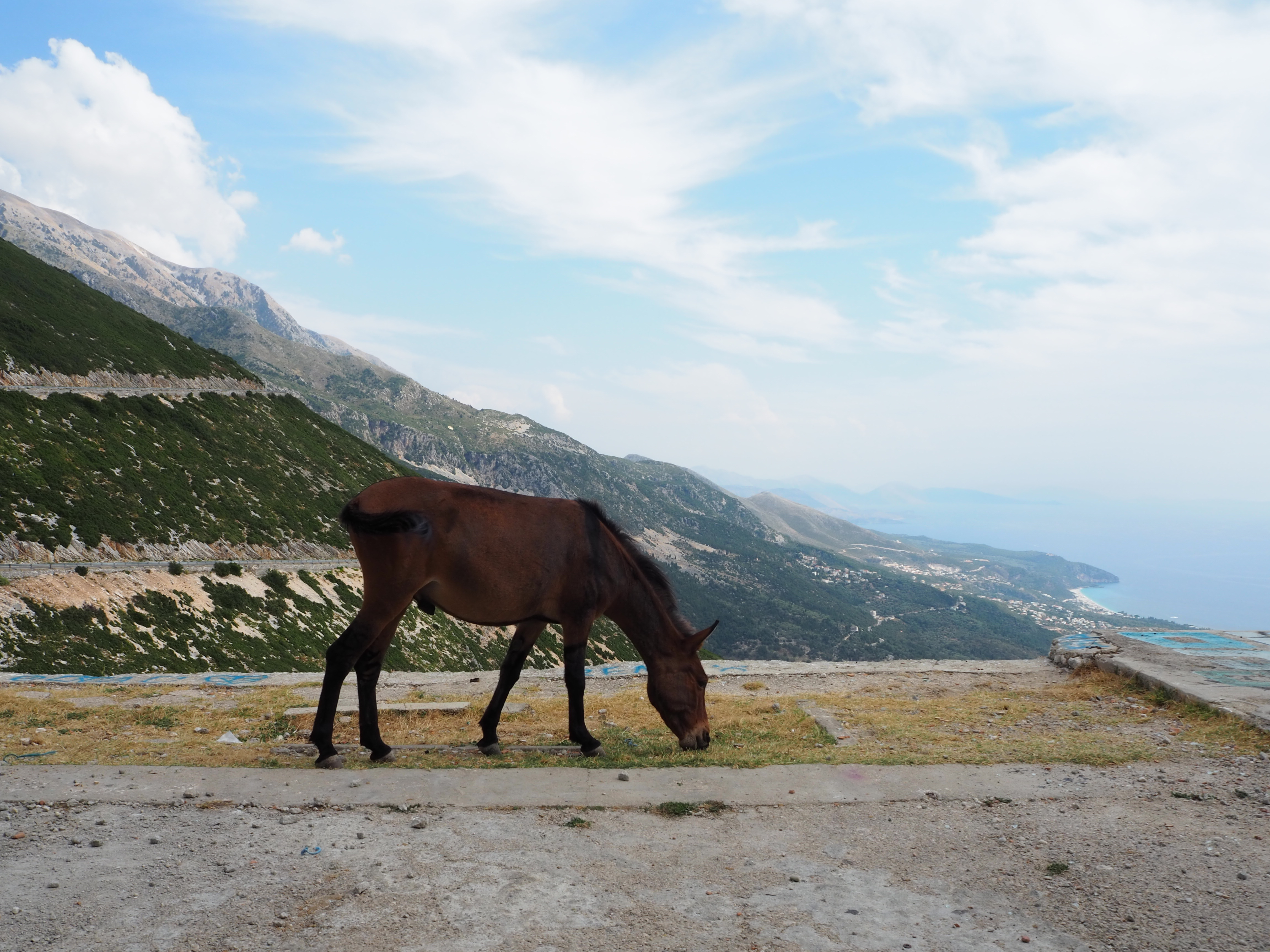 Von Saranda über den Llogara Pass – Beste Roadtripbedingungen