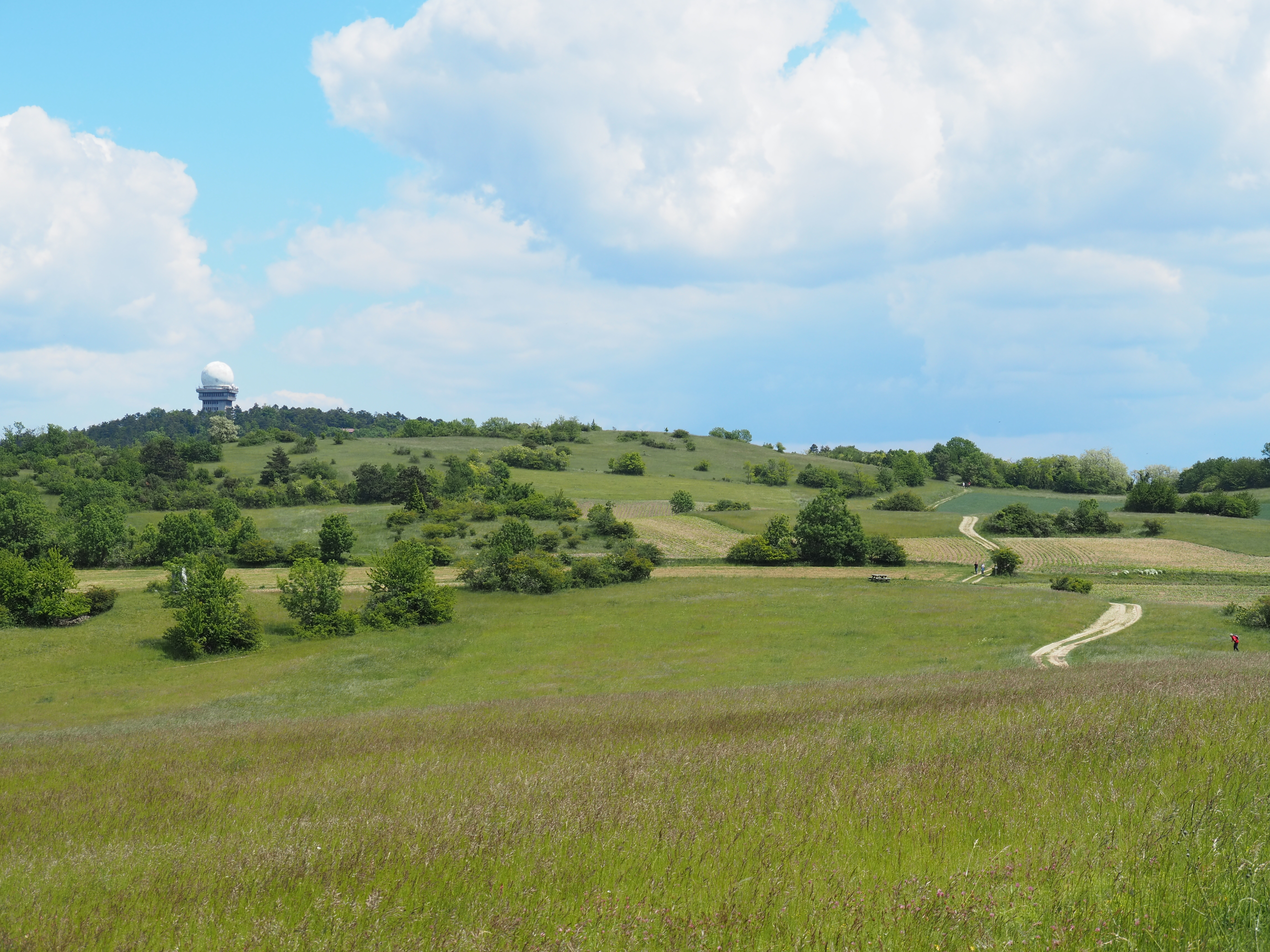 #Staycation – Leiser Berge: Wanderparadies im Weinviertel