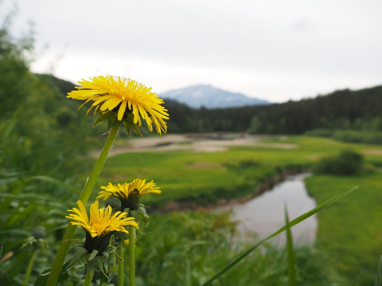 #Staycation: Wandern in den Ötschergräben von Wienerbruck zum Erlaufstausee